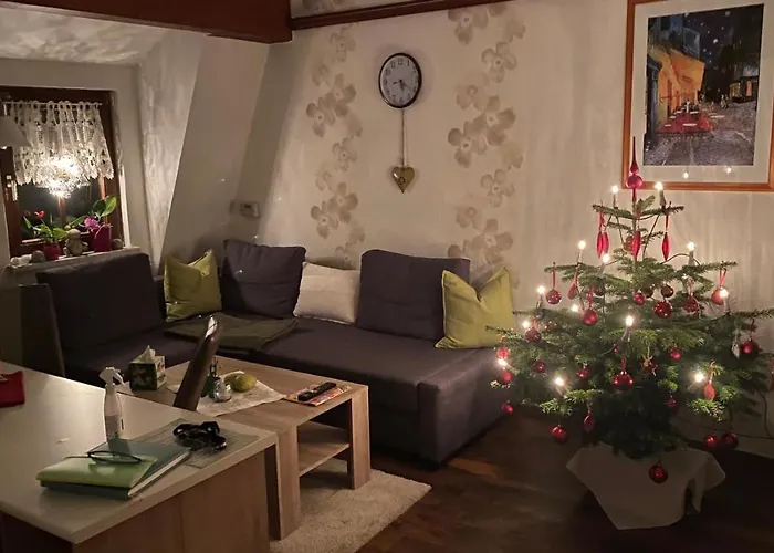 Froeschlein - No Craftsmen Fitters Daire *